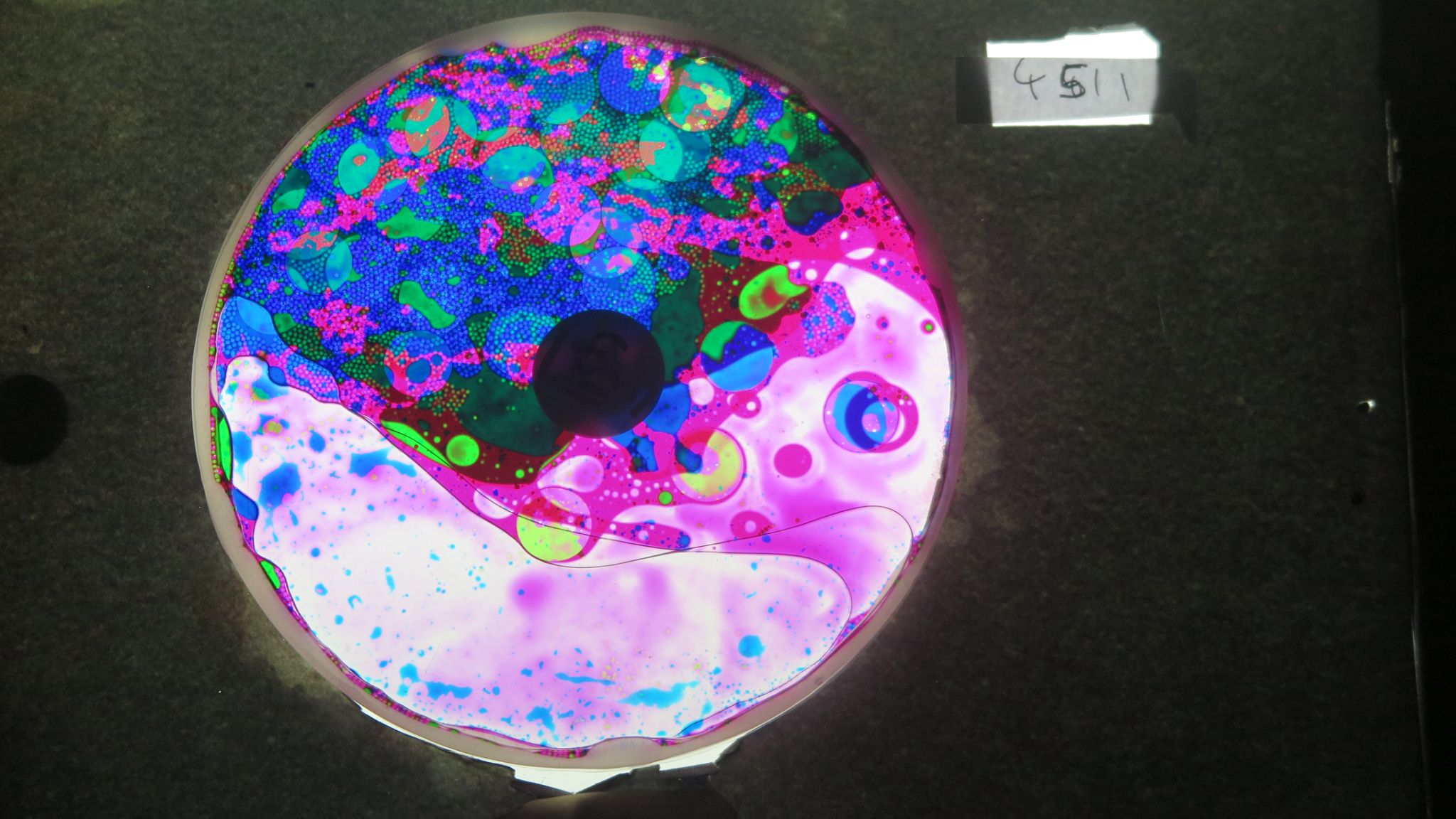 BV4511 bubble vision oil wheel